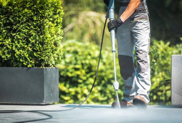 Best Driveway Pressure Washing  in Diboll, TX