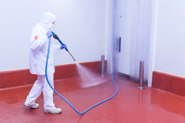 Best Graffiti Removal  in Diboll, TX